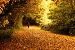 Trauma Counselling Safe Place Therapy