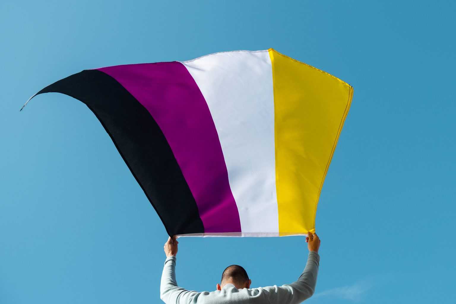 Non-Binary Flag Safe Place Therapy