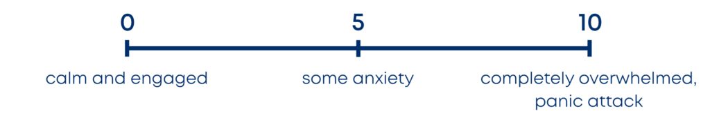 Anxiety Disorder Scale