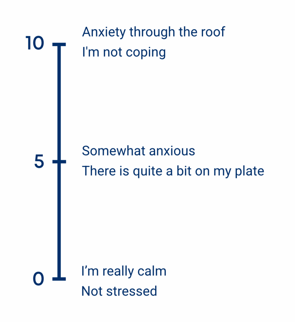 R U OK Scale
