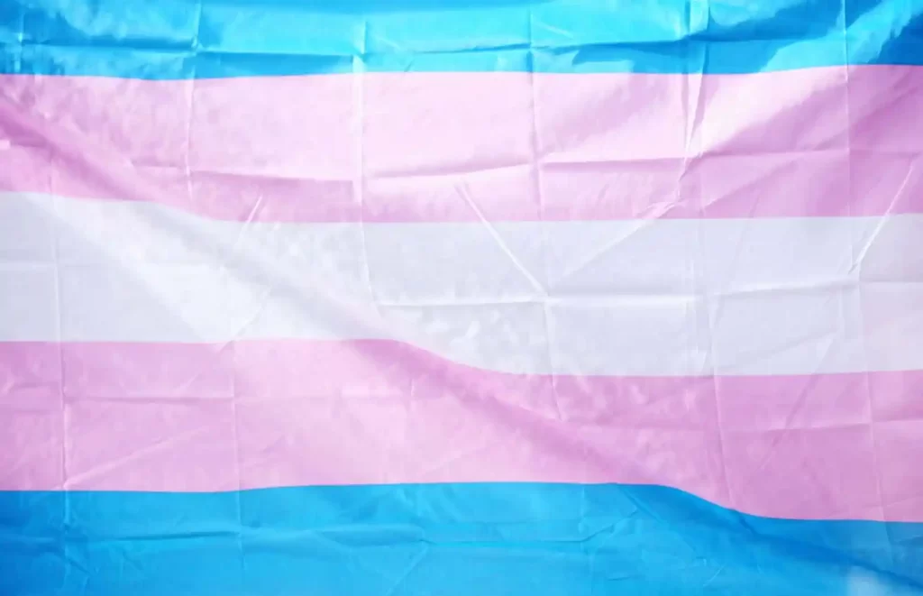 transgender flag