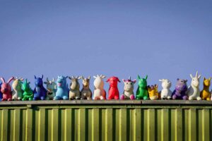 Neurodivergent Disorders, Autism Spectrum and ADHD