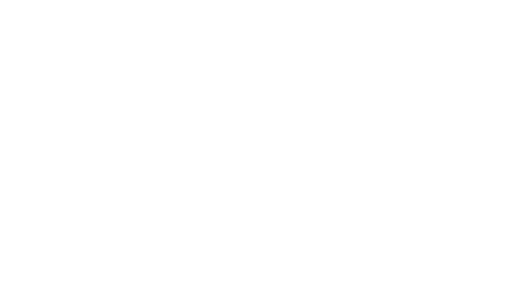 ACMHN logo
