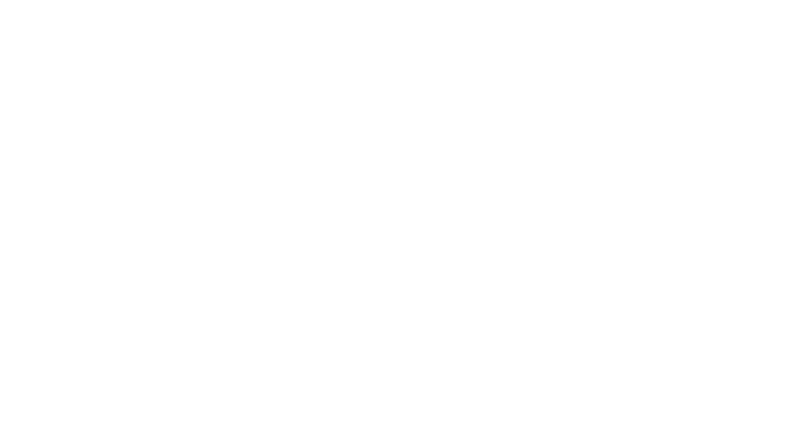 NDIS logo