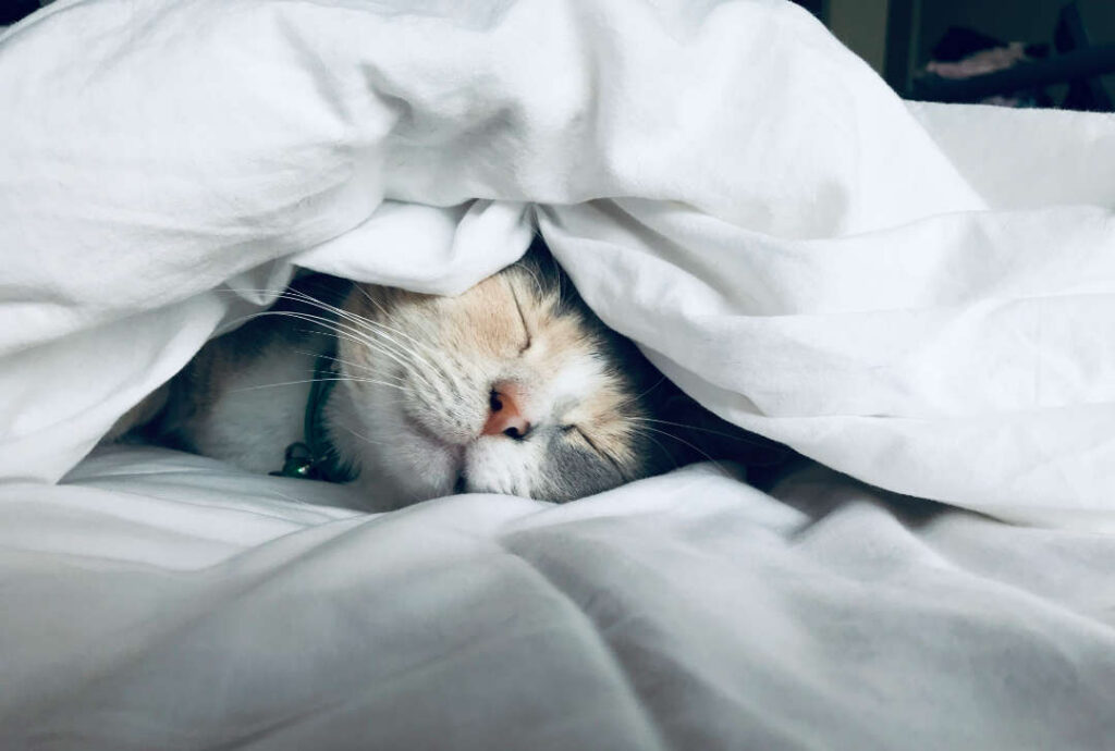 sleep for mental health – Safe Place Therapy