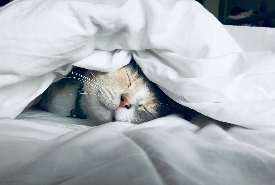 sleep for mental health – Safe Place Therapy